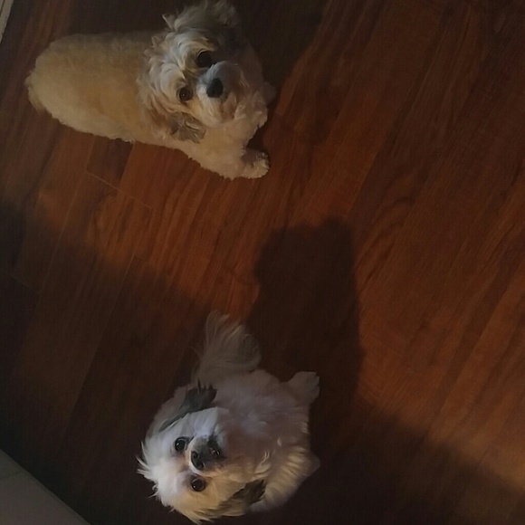 Meet your Posher, Meg - Picture 1 of 1