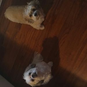 Meet your Posher, Meg