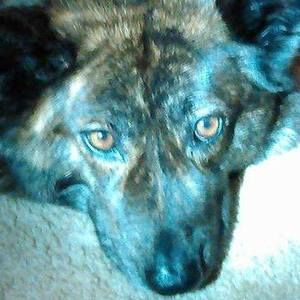 Meet your Posher, Ron