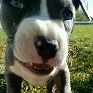 Meet your Posher, Miranda