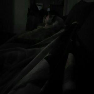 Meet your Posher, Kelis