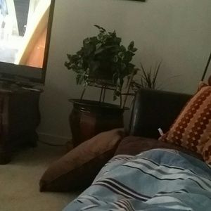 Meet your Posher, Darrell