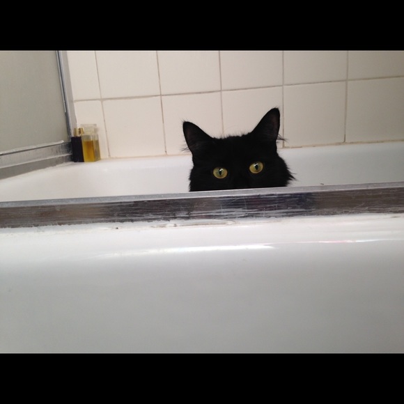 Charlie WANTS YOU!!!! - Picture 1 of 1