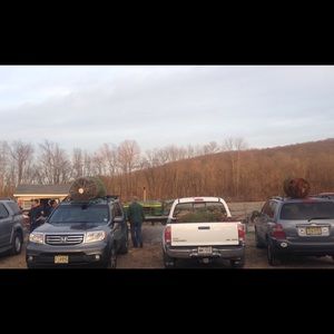 Meet your Posher, Caroline