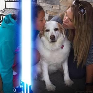 Meet your Posher, Donna