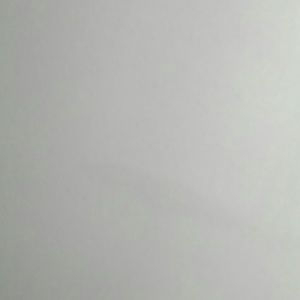 Meet your Posher, Jake