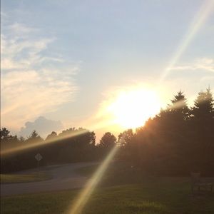 Meet your Posher, Laney