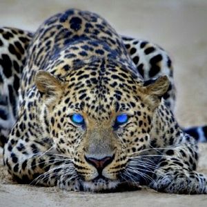 Meet your Posher, Zach