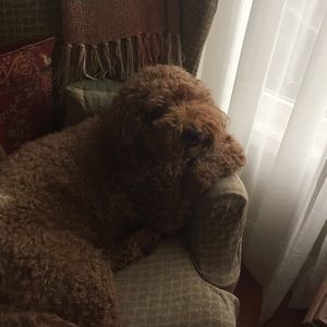 Meet your Posher, Kris