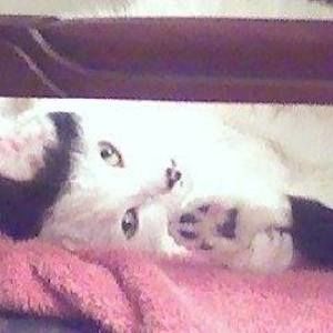 Meet your Posher, Maxine