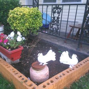 Meet your Posher, Gonzalo