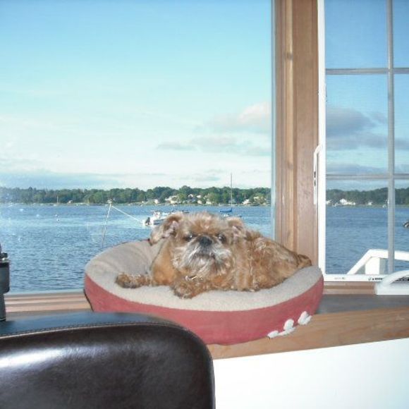 Meet your Posher, Lou