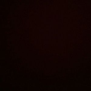 Meet your Posher, Trevor