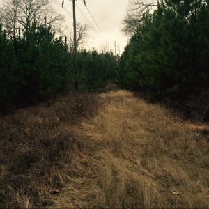 Meet your Posher, Abigail