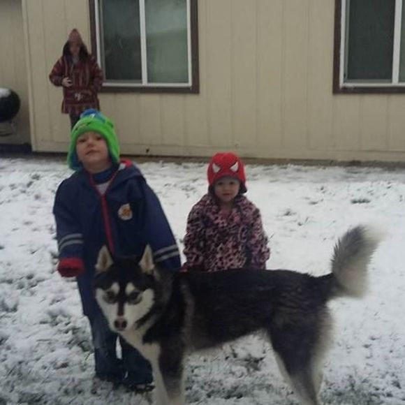 Meet your Posher, Heather - Picture 1 of 1