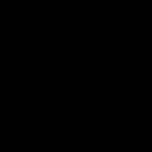 Meet your Posher, Carline