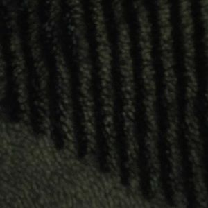 Meet your Posher, Molly