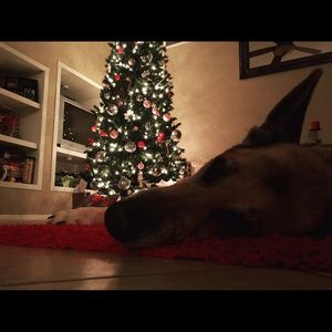 Meet your Posher, Jadyn