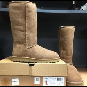 Brand New UGGs