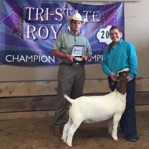 Meet your Posher, Lisa