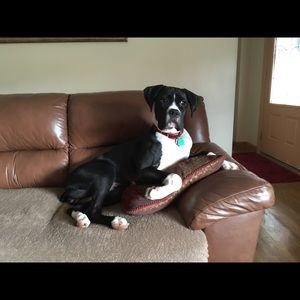 Meet your Posher, Carla