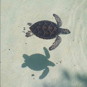 Meet your Posher, Jess