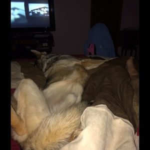 Meet your Posher, Brandon