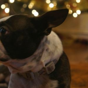 Meet your Posher, Corina