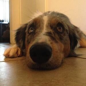 Meet your Posher, Ana