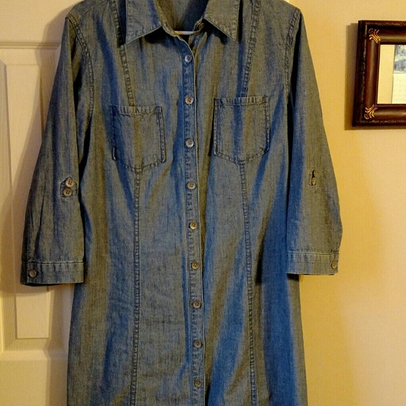 coldwater creek denim dress