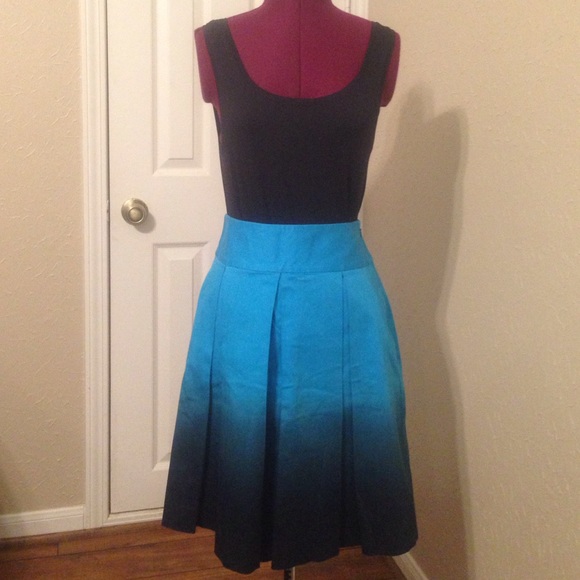Ombré Pleated Skirt