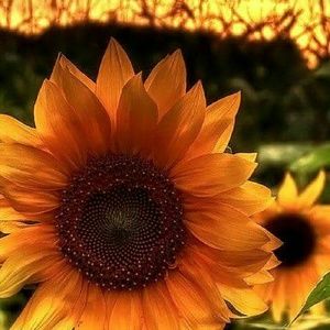 Meet your Posher, Adrianna