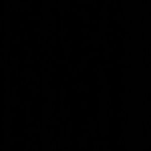 Meet your Posher, Meagan