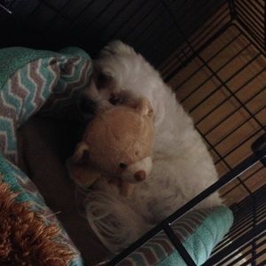 Meet your Posher, Kelly