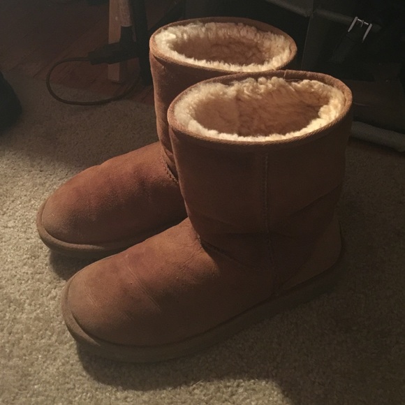 Chestnut Uggs