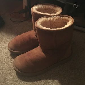 Chestnut Uggs
