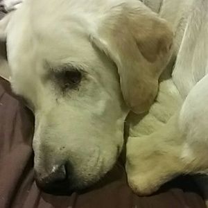 Meet your Posher, Zoe