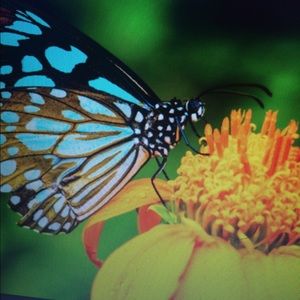 Meet your Posher, Nadia