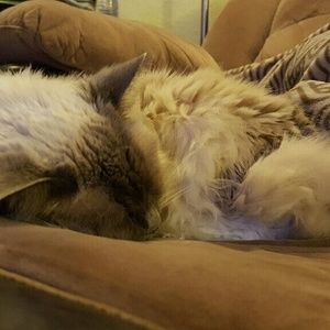 Meet your Posher, Terra