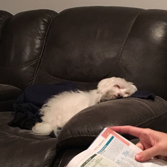 Meet your Posher - Picture 5 of 12