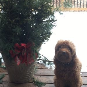 Meet your Posher, Torie