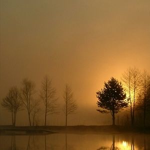 Meet your Posher, Eileen