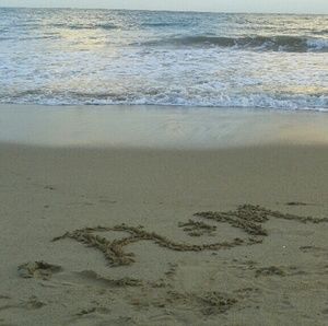 Meet your Posher, Ronny