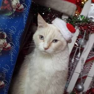 Meet your Posher, Kacie