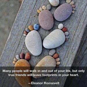 Meet your Posher, Norma