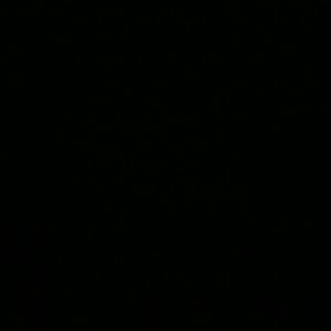 Meet your Posher, Latrice