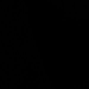 Meet your Posher, Sheila