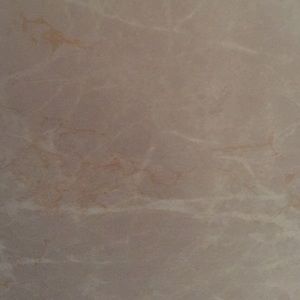 Meet your Posher, Paloma