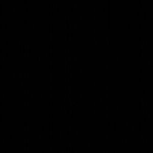 Meet your Posher, Sammy