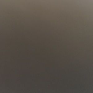 Meet your Posher, Alexus